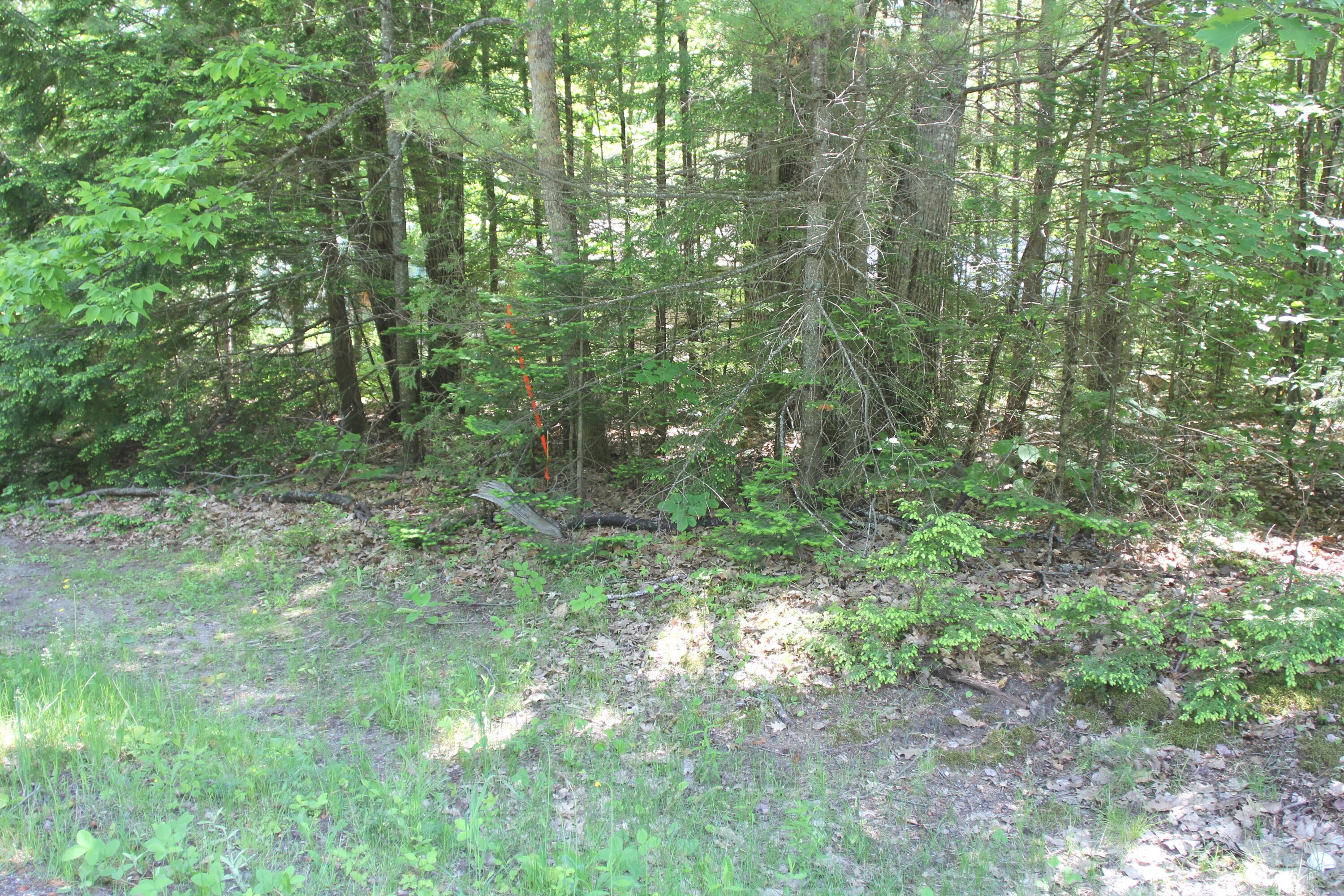 M7-l43-1 Athens Road Hartland, ME 04943 - Photo 3 of 5 IMG_8289