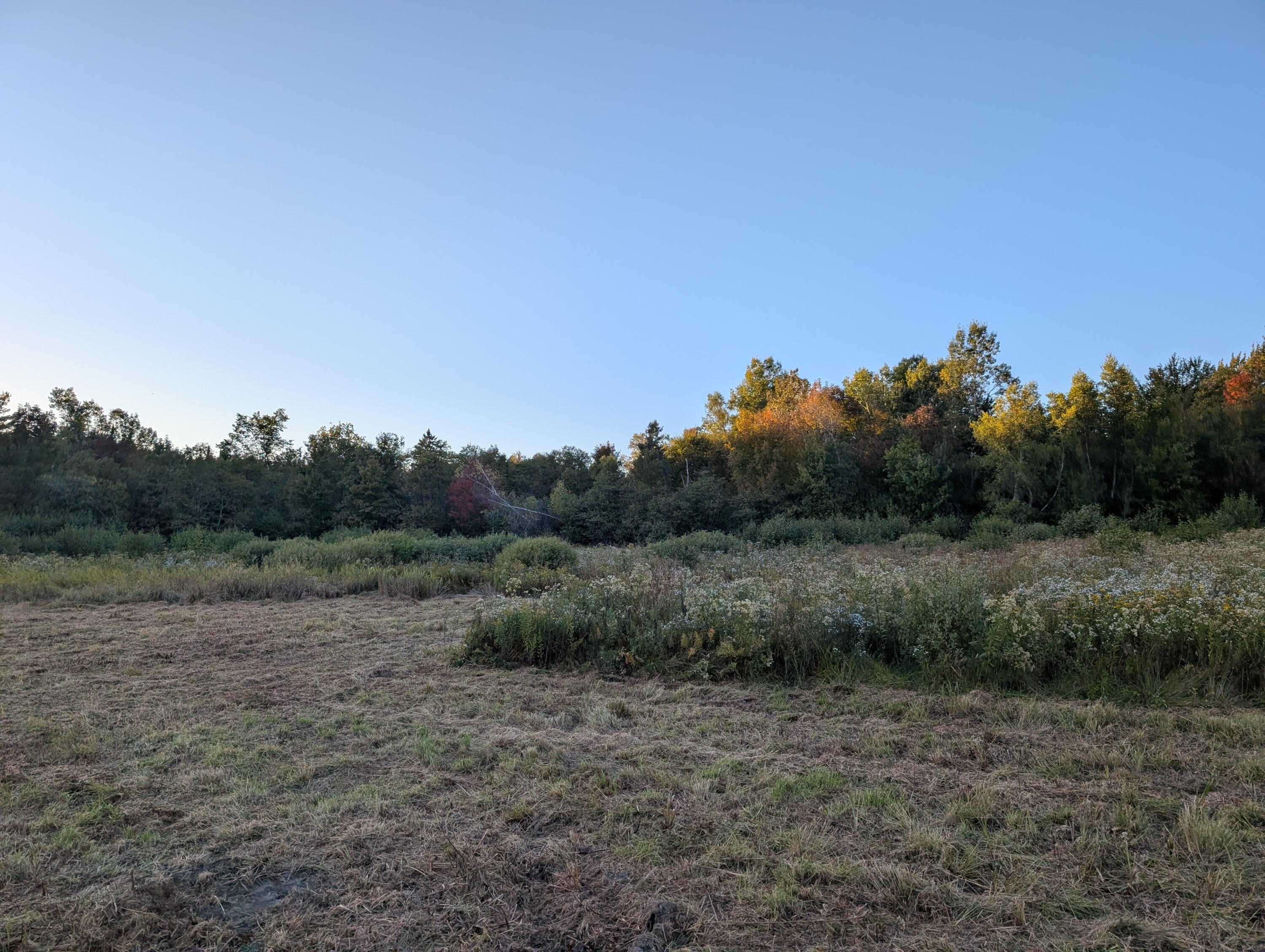 # Pond Road Abbot, ME 04406 - Photo 10 of 13 PXL_20250919_220720235.MP