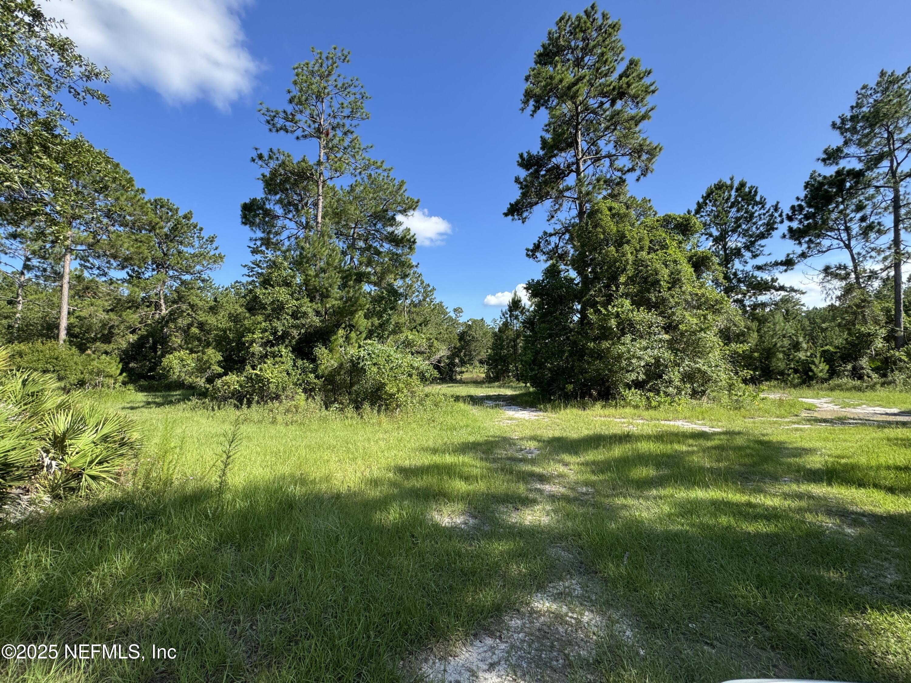 131 Blackjack Circle Palatka, FL 32177 - Photo 3 of 12 a fire hydrant in the middle of a field
