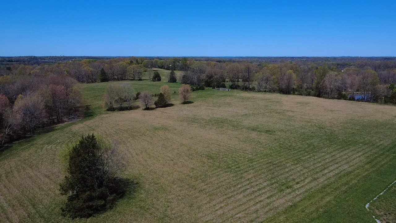 0 New Deal Potts Road Cottontown, TN 37048 - Photo 1 of 6 a view of a dry yard with trees
