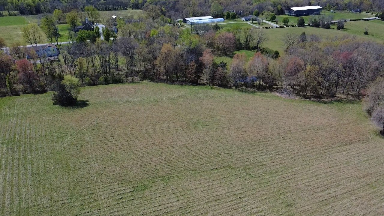 0 New Deal Potts Road Cottontown, TN 37048 - Photo 4 of 6 a view of a street with a yard