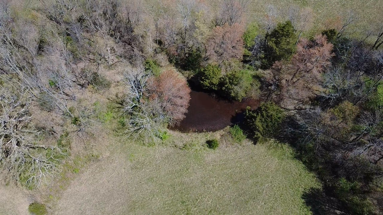 0 New Deal Potts Road Cottontown, TN 37048 - Photo 5 of 6 a view of a forest