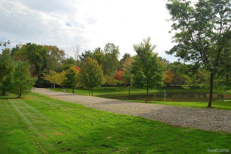 3835 Greenwood Street Rochester, MI 48309 - Photo 25 of 25 Backyard View