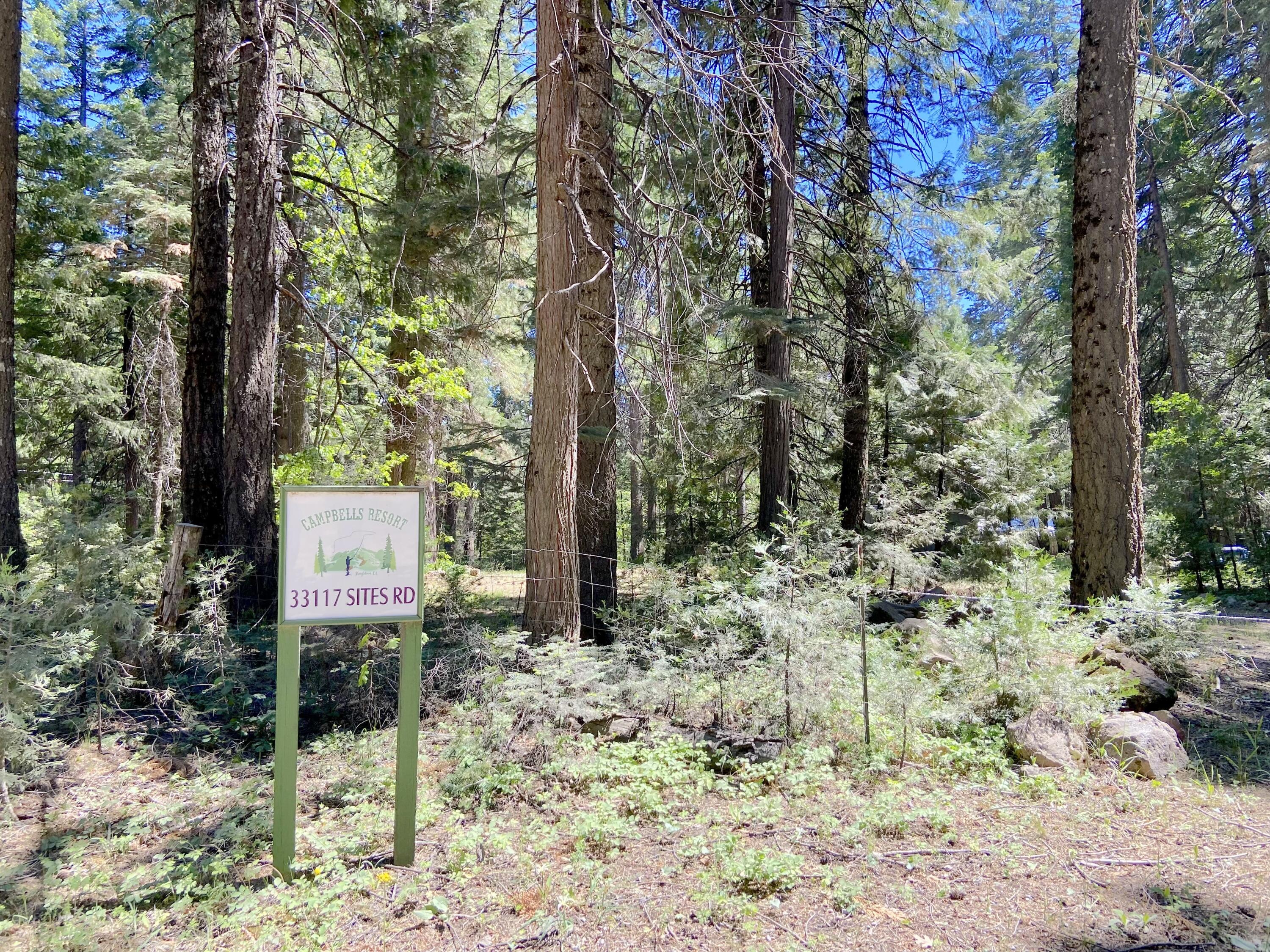 33117 Sites Road Shingletown, CA 96088 - Photo 1 of 23 a sign board with the trees