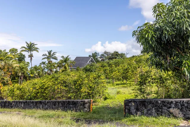 a view of a bunch of flowers in bunch