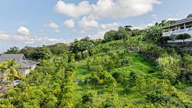 a view of a pathway with a yard