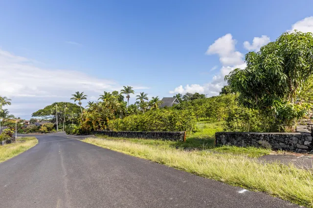 an aerial view of a residential houses with city and green space