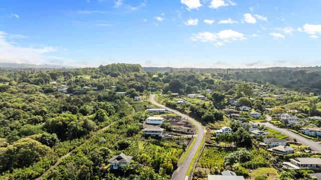 a view of a bunch of plants and trees