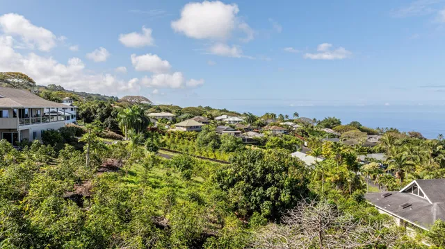 a view of a bunch of trees