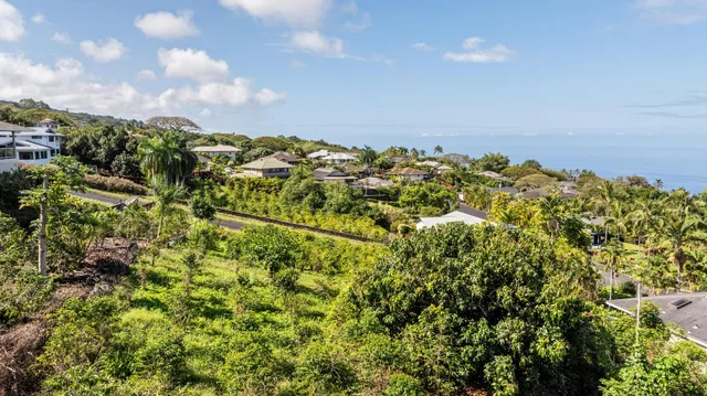 an aerial view of residential houses with outdoor space and trees