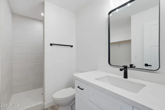 a bathroom with a sink a toilet a mirror and shower