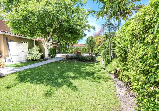 a view of a backyard with plants and a large tree