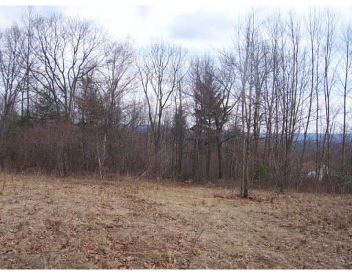 Lot A Fisherdick Road Ware, MA 01082 - Photo 1 of 1