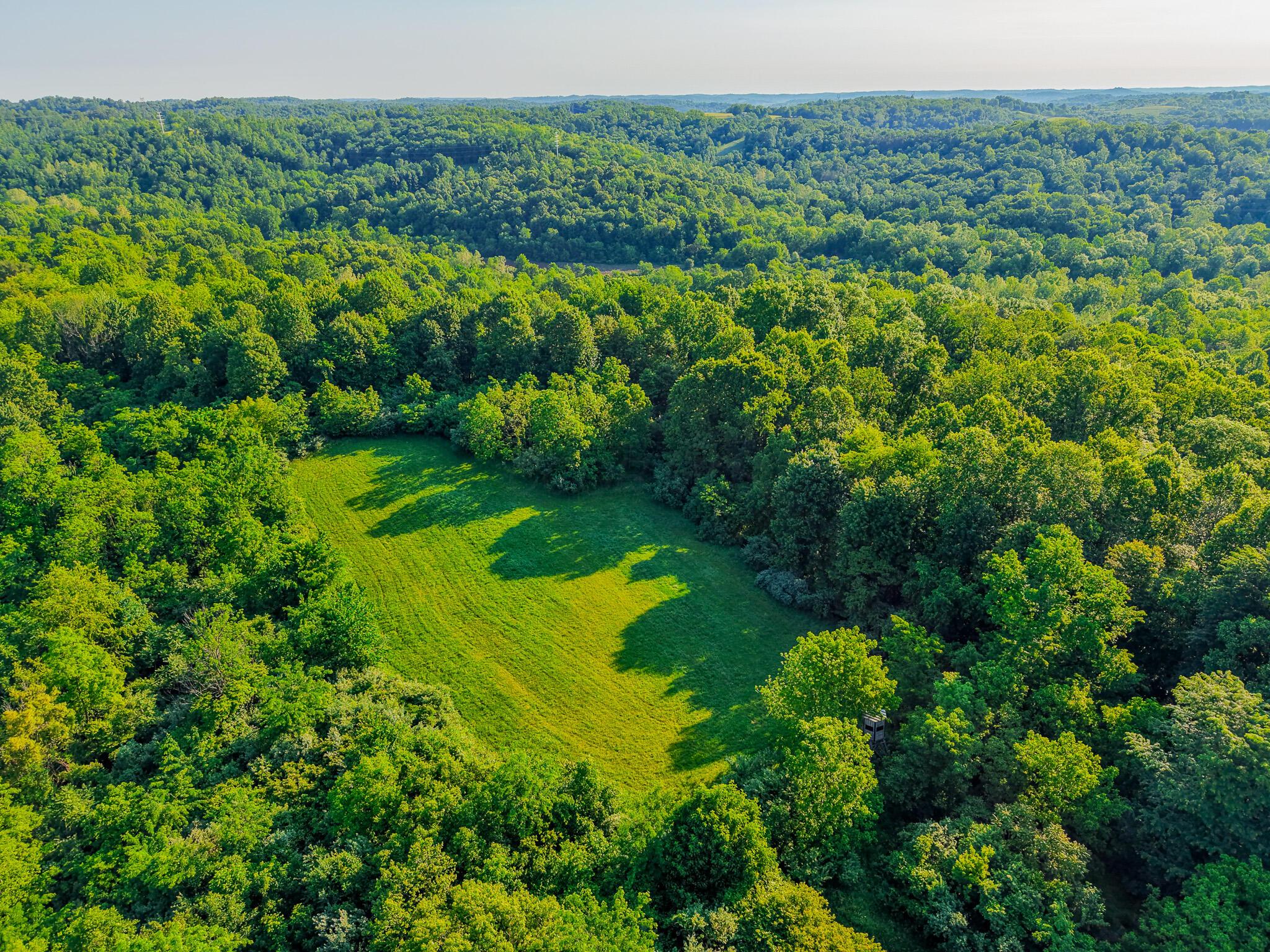 12680 Old Riley Road Frazeysburg, OH 43822 - Photo 69 of 95