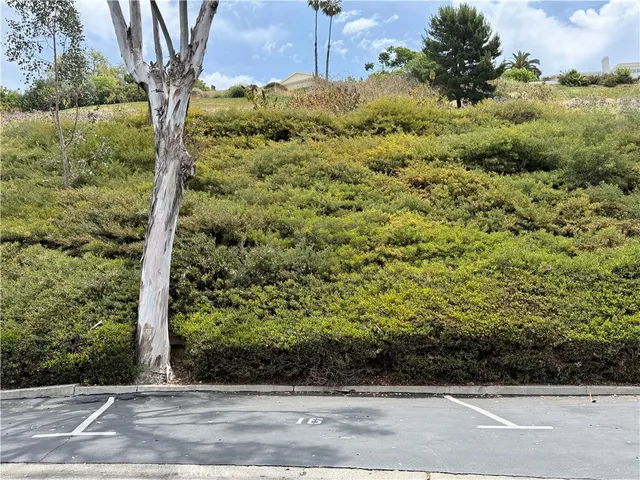 a close up of a tree in a yard