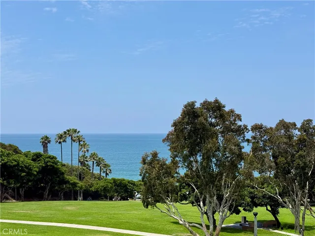 a view of a field with a tree in the background