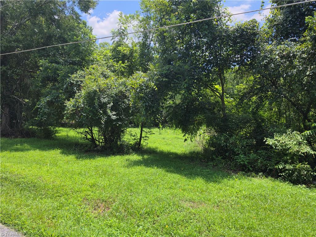 417 Coe Avenue High Point, NC 27263 - Photo 2 of 5