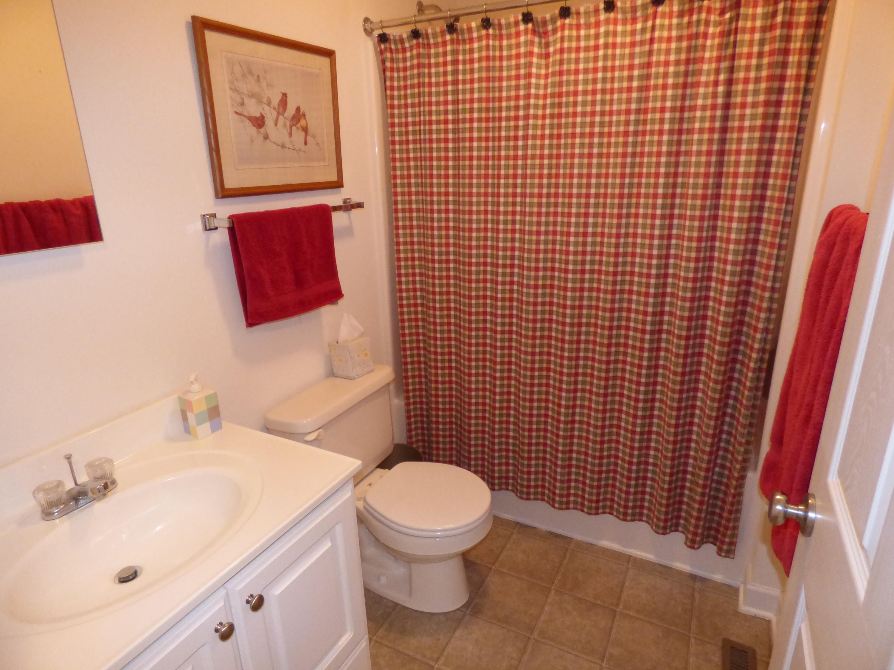 435 Endicott Hill Road Ferrum, VA 24088 - Photo 17 of 22 a bathroom with a toilet and a sink