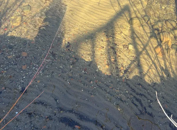 $469,000 | 10007 Alcott Drive, Sauk Centre, MN 56378