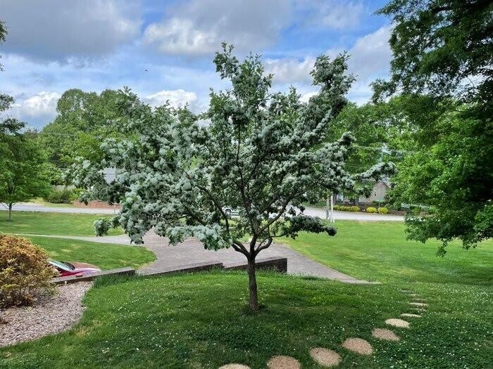 5230 Cassandra Smith Road, Unit 2 Hixson, TN 37343 - Photo 38 of 68 Gallery Image 38