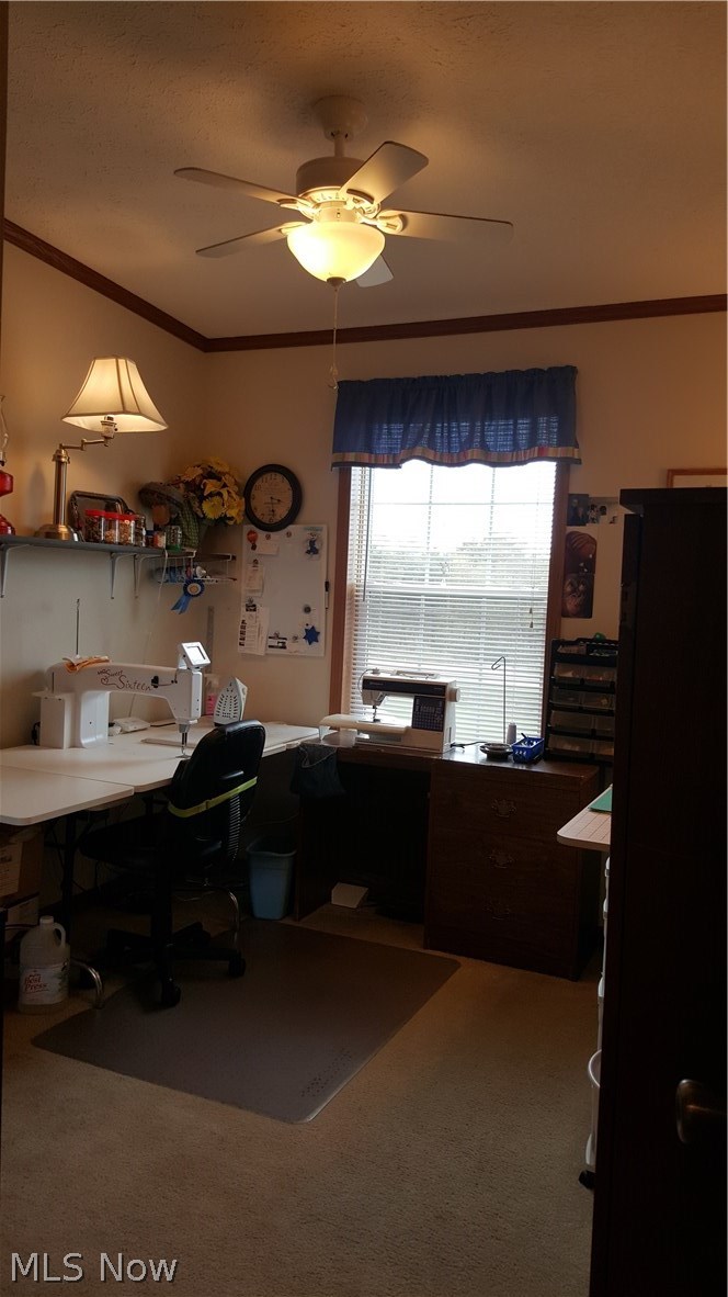 3038 Newbury Road Little Hocking, OH 45742 - Photo 20 of 34 Gallery Image 20