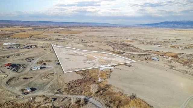 a view of a dry yard with wooden floor