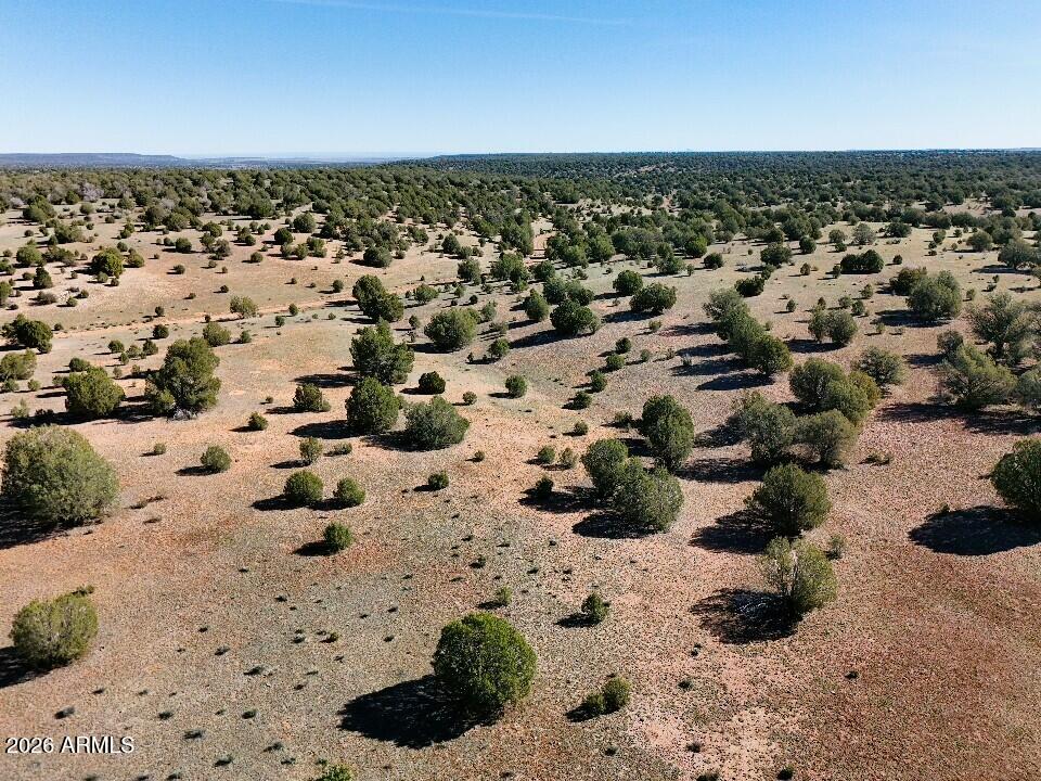 15723 High Tank Road Williams, AZ 86046 - Photo 14 of 18