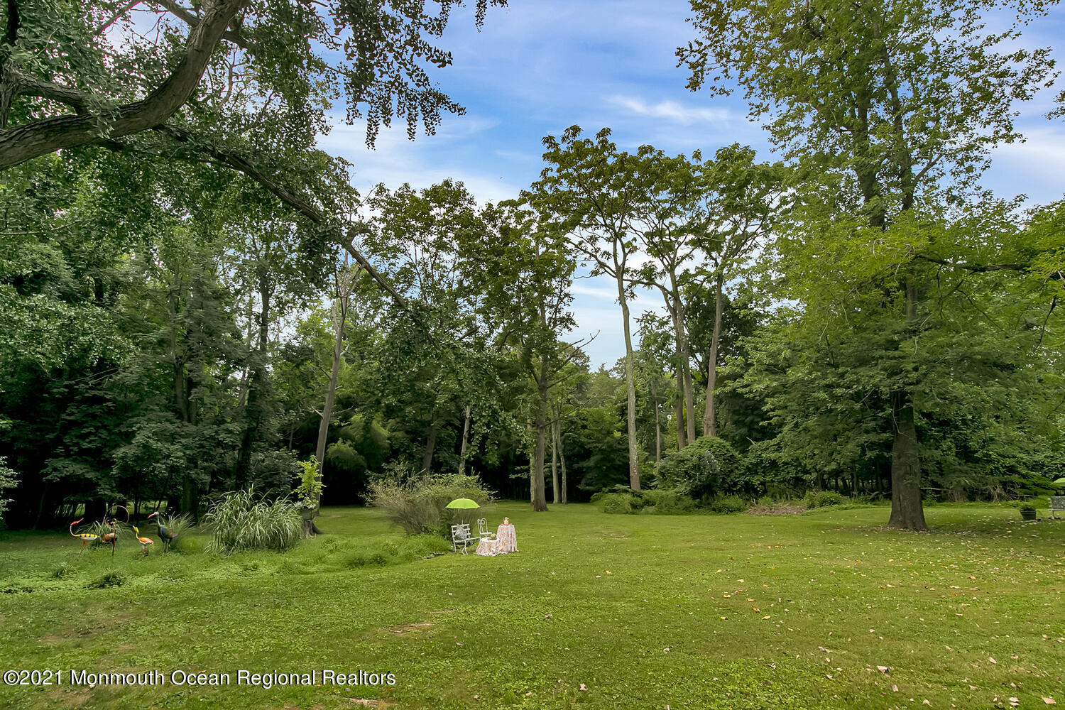 136 Rumson Road Rumson, NJ 07760 - Photo 24 of 26 a view of a trees with a yard
