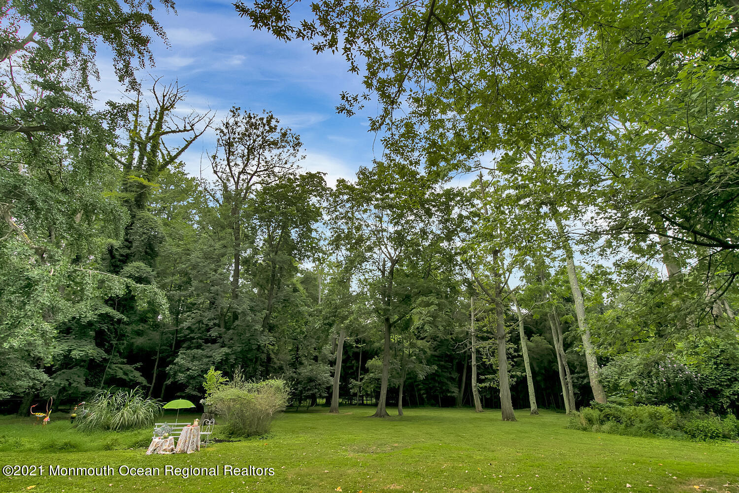 136 Rumson Road Rumson, NJ 07760 - Photo 25 of 26 a view of backyard with green space