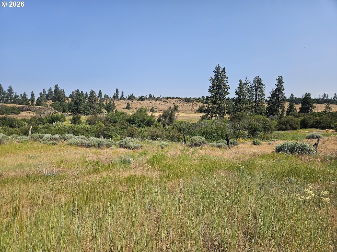 Olson Road Centerville, WA 98613 - Photo 9 of 25