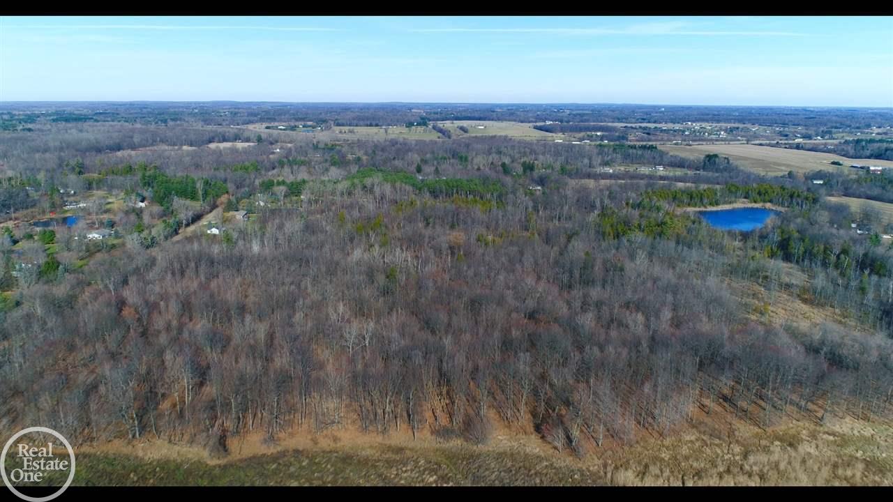 5221 Sutton Road Dryden, MI 48428 - Photo 9 of 24