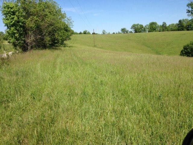 6050 Claxon Ridge Road Owenton, KY 40359 - Photo 2 of 24 Gallery Image 2