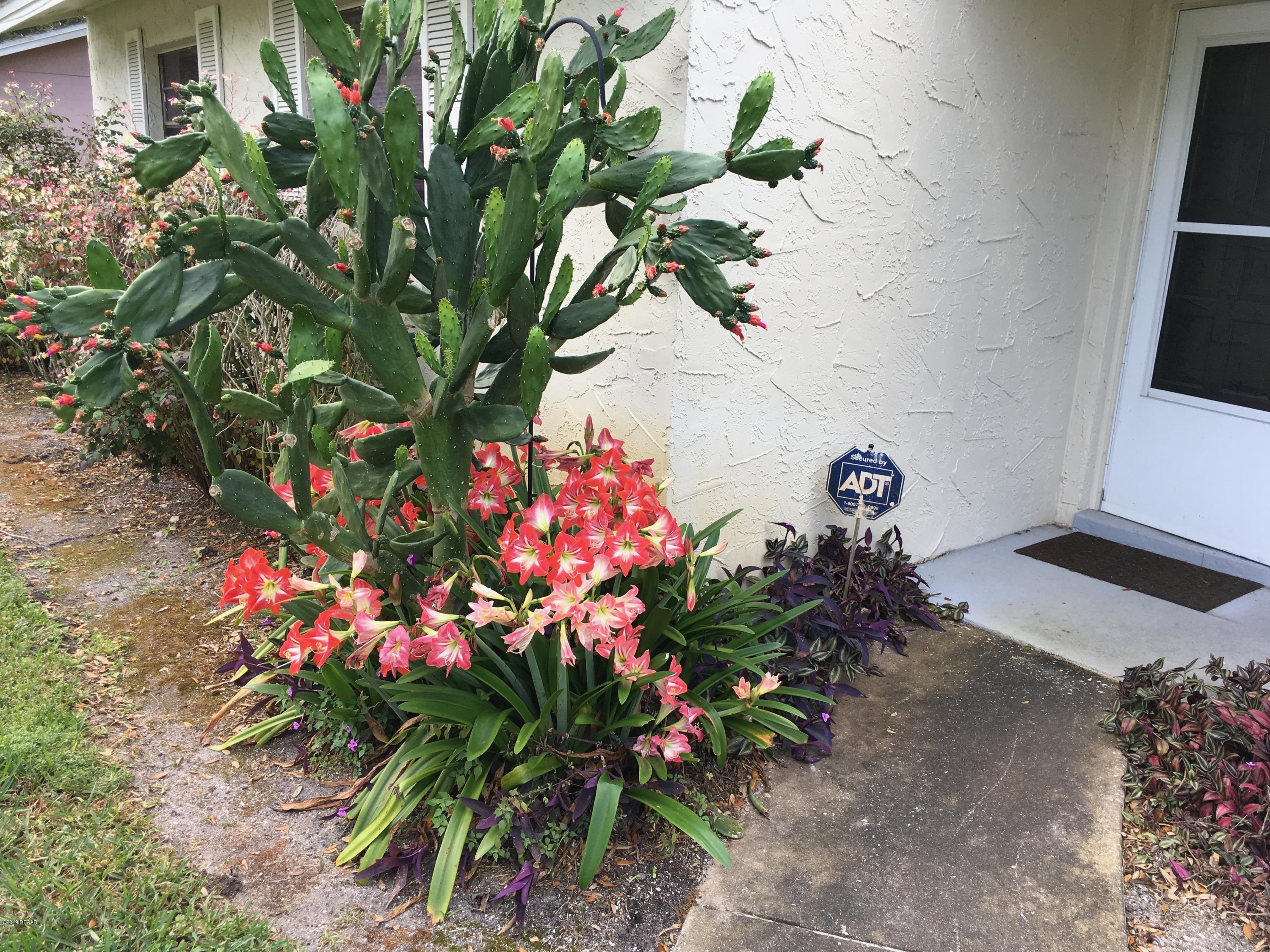 1638 Western Road South Daytona, FL 32119 - Photo 2 of 15 IMG_2029