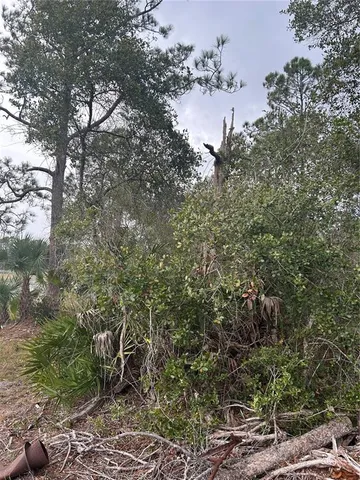 $50,000 | Jewell Drive, DeLand, FL 32720