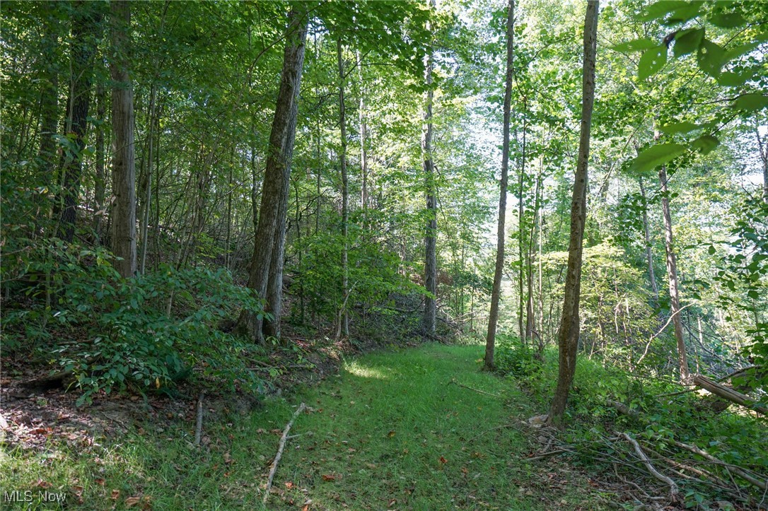 Johnson Run Road Kimbolton, OH 43749 - Photo 8 of 36 View of landscape