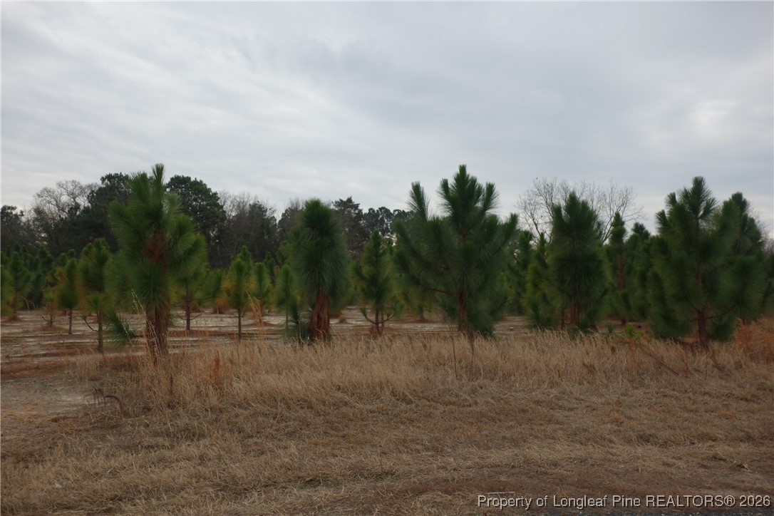 Lot 40 Stuarts Mill Road Fairmont, NC 28340 - Photo 1 of 1