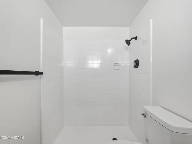 a bathroom with a shower and a toilet