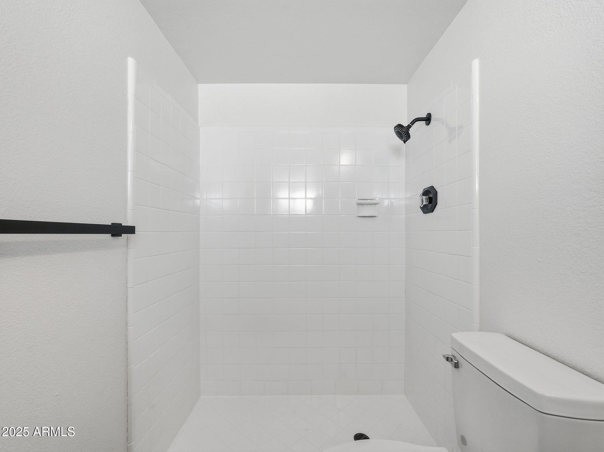 1428 South Palo Verde Drive Apache Junction, AZ 85120 - Photo 24 of 37 a bathroom with a shower and a toilet