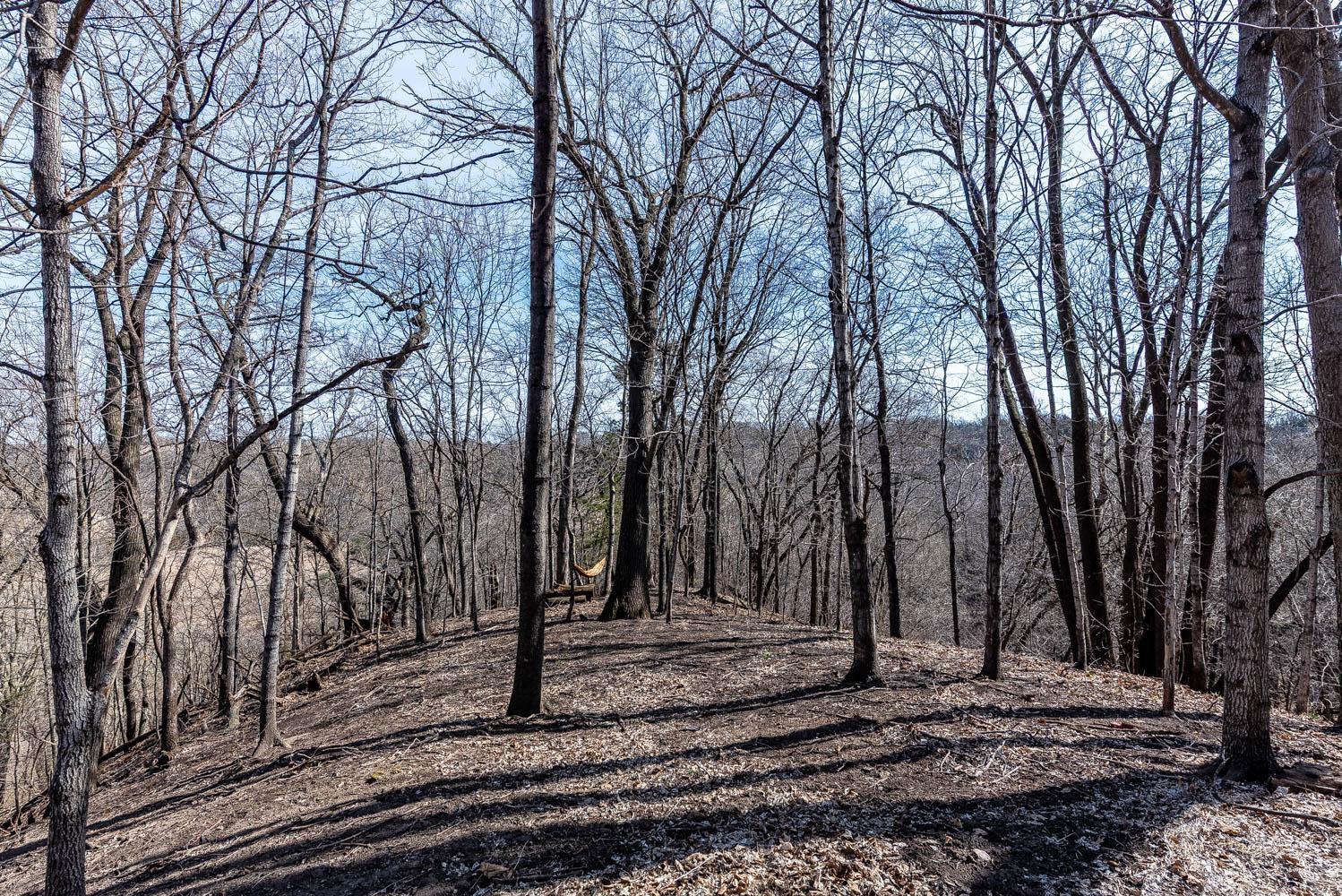 277 Red Ridge Road Good Thunder, MN 56037 - Photo 22 of 24