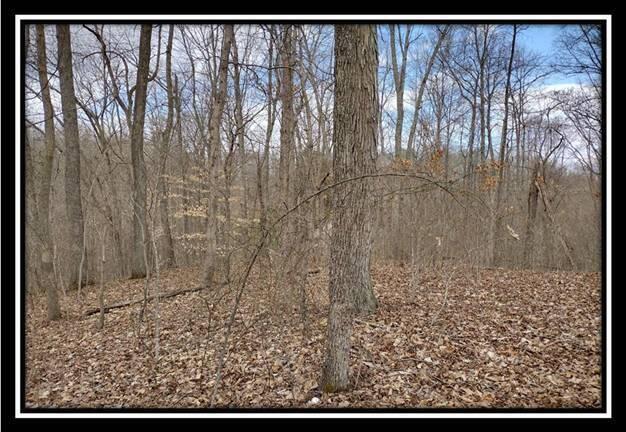 500 Raysville Road Jackson, OH 45640 - Photo 9 of 34 image009