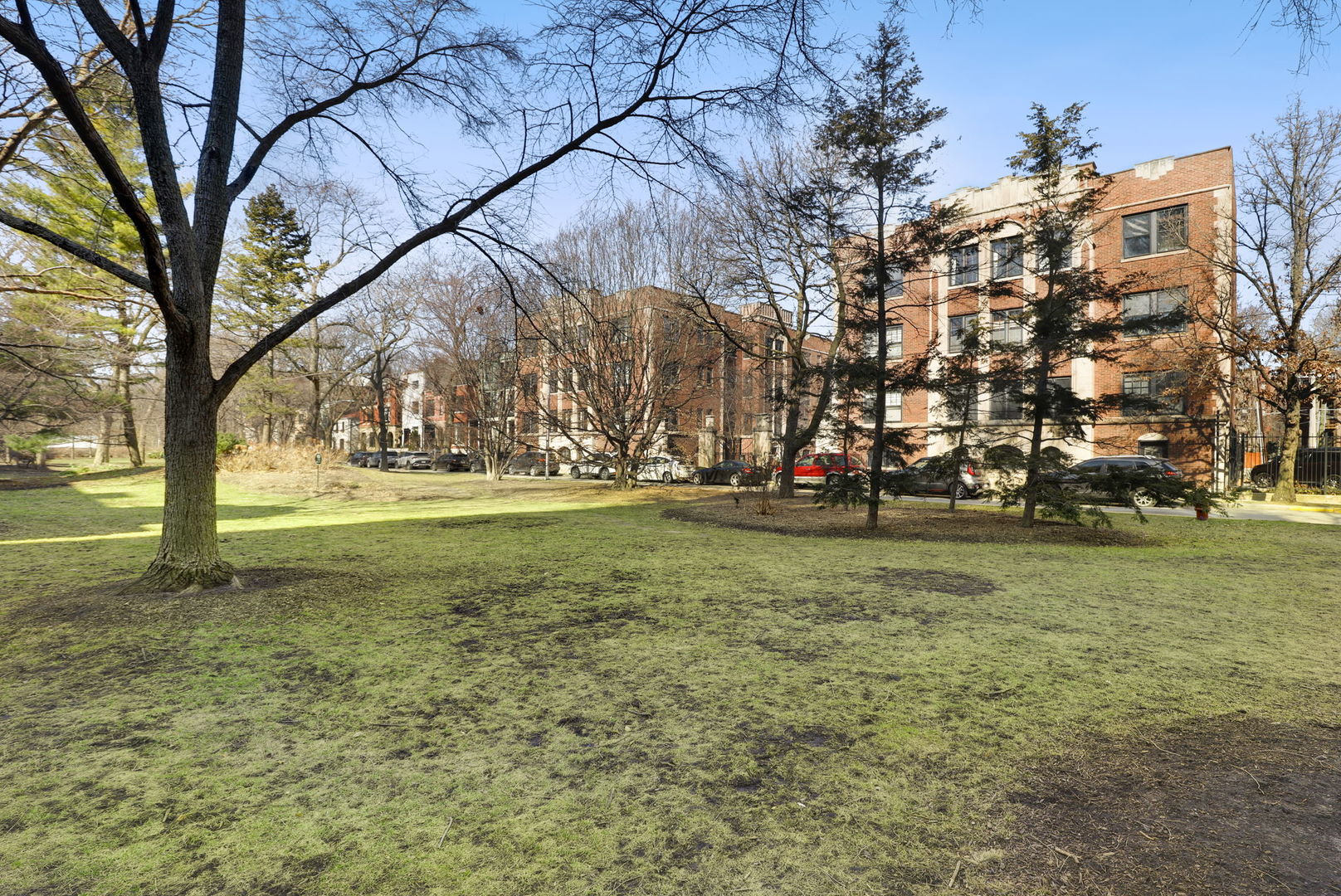 1360 East Madison Park, Unit B Chicago, IL 60615 - Photo 25 of 25 a view of yard with tree
