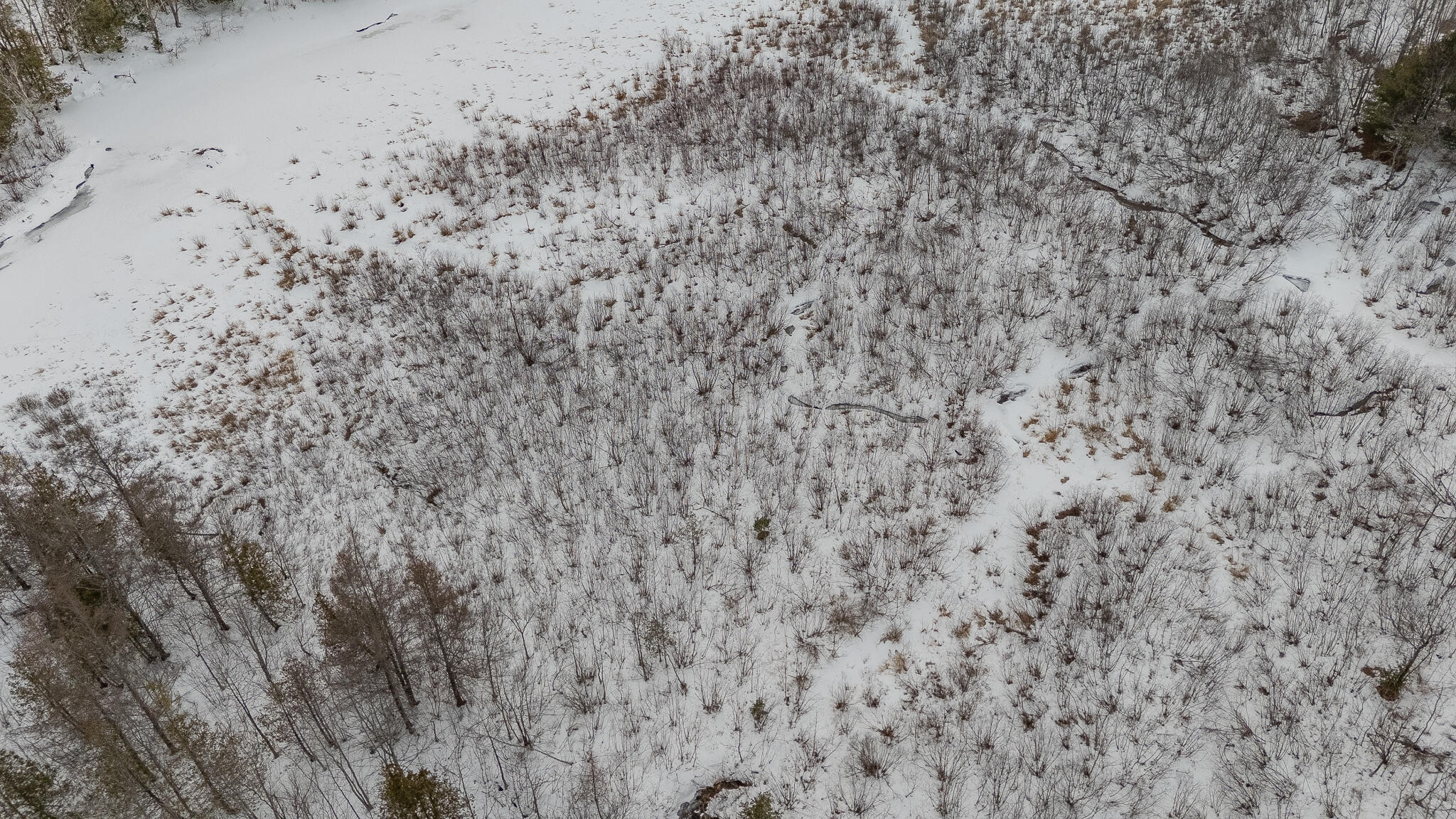 33 Avenue Road Garland, ME 04939 - Photo 41 of 51 DJI_20260306154526_0899_D