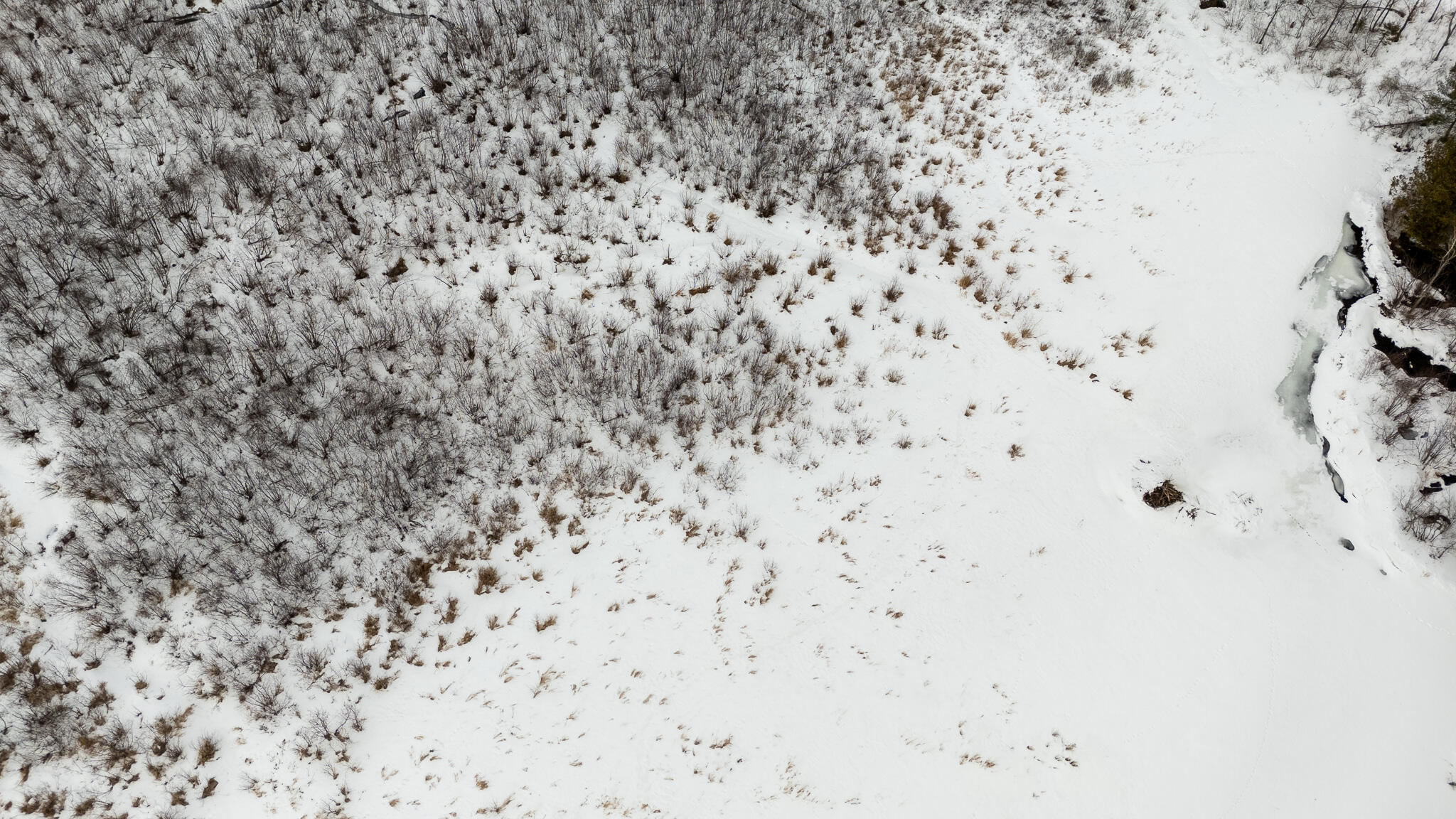 33 Avenue Road Garland, ME 04939 - Photo 45 of 51 DJI_20260306154624_0904_D