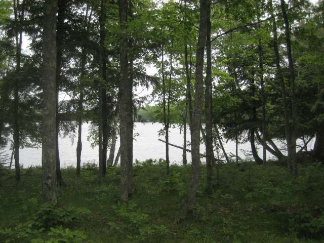 5966 Scott Road Mercer, WI 54547 - Photo 9 of 18 Gallery Image 9