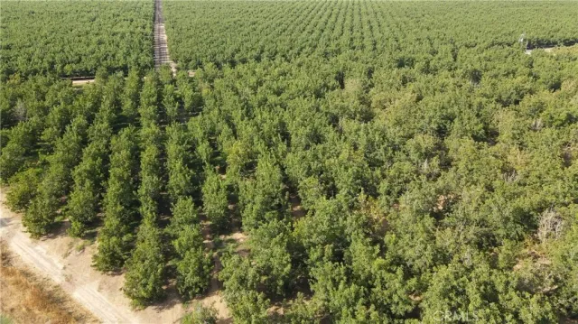 $7,100,000 | 2507 South Escalon Belotta, Escalon, CA 95320