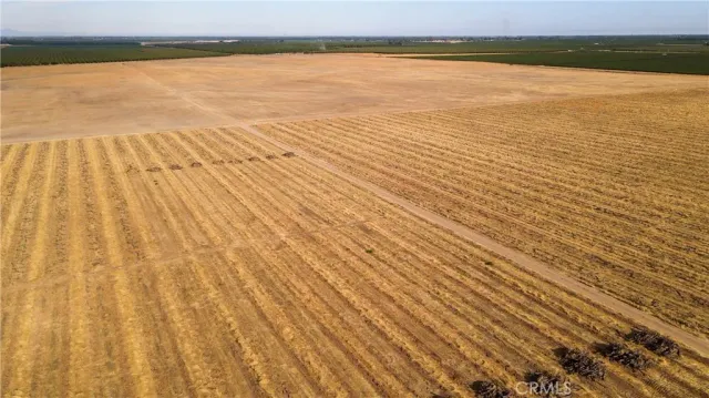 $7,100,000 | 2507 South Escalon Belotta, Escalon, CA 95320