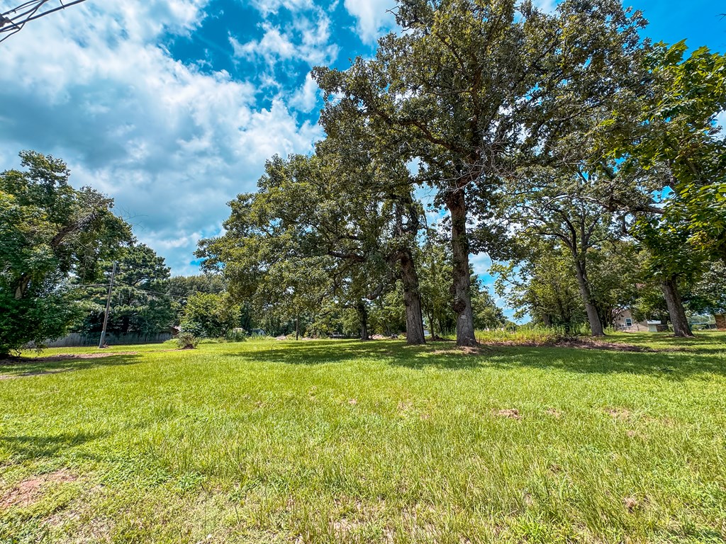 1711 West Point Tap Road Palestine, TX 75803 - Photo 17 of 17