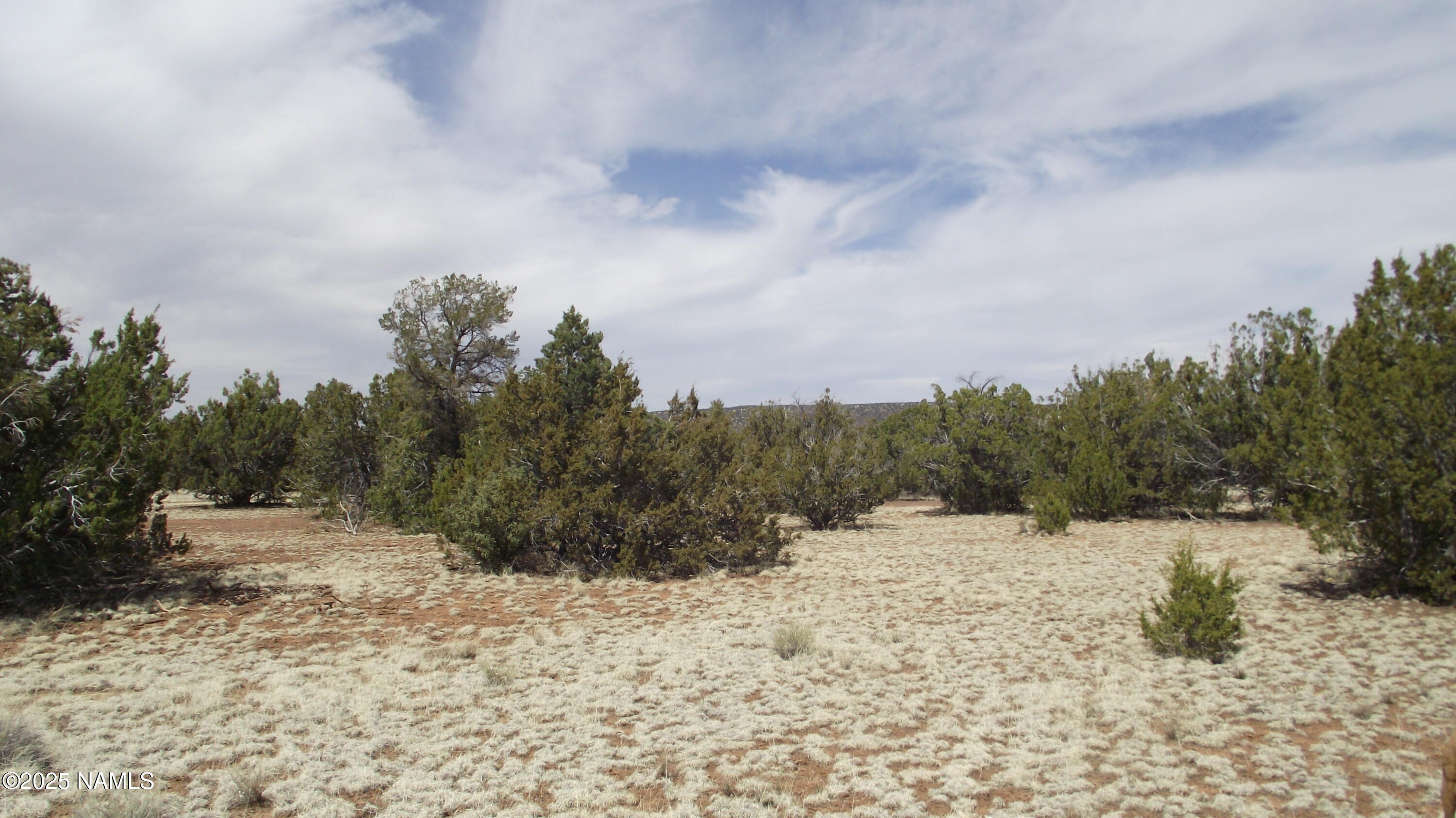 591 East Running Bear Road Williams, AZ 86046 - Photo 3 of 10 DSCF7431