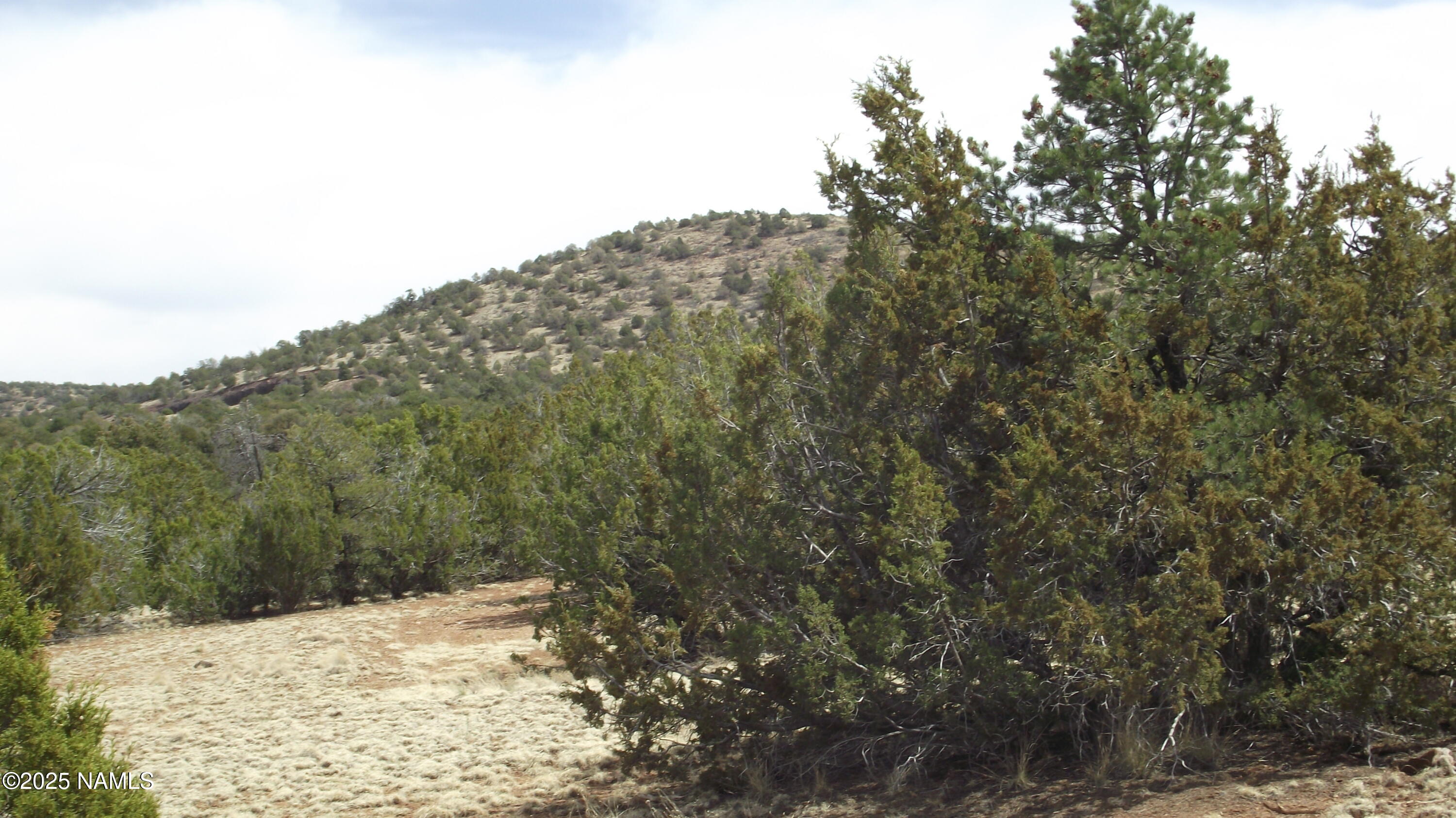 591 East Running Bear Road Williams, AZ 86046 - Photo 4 of 10 DSCF7421
