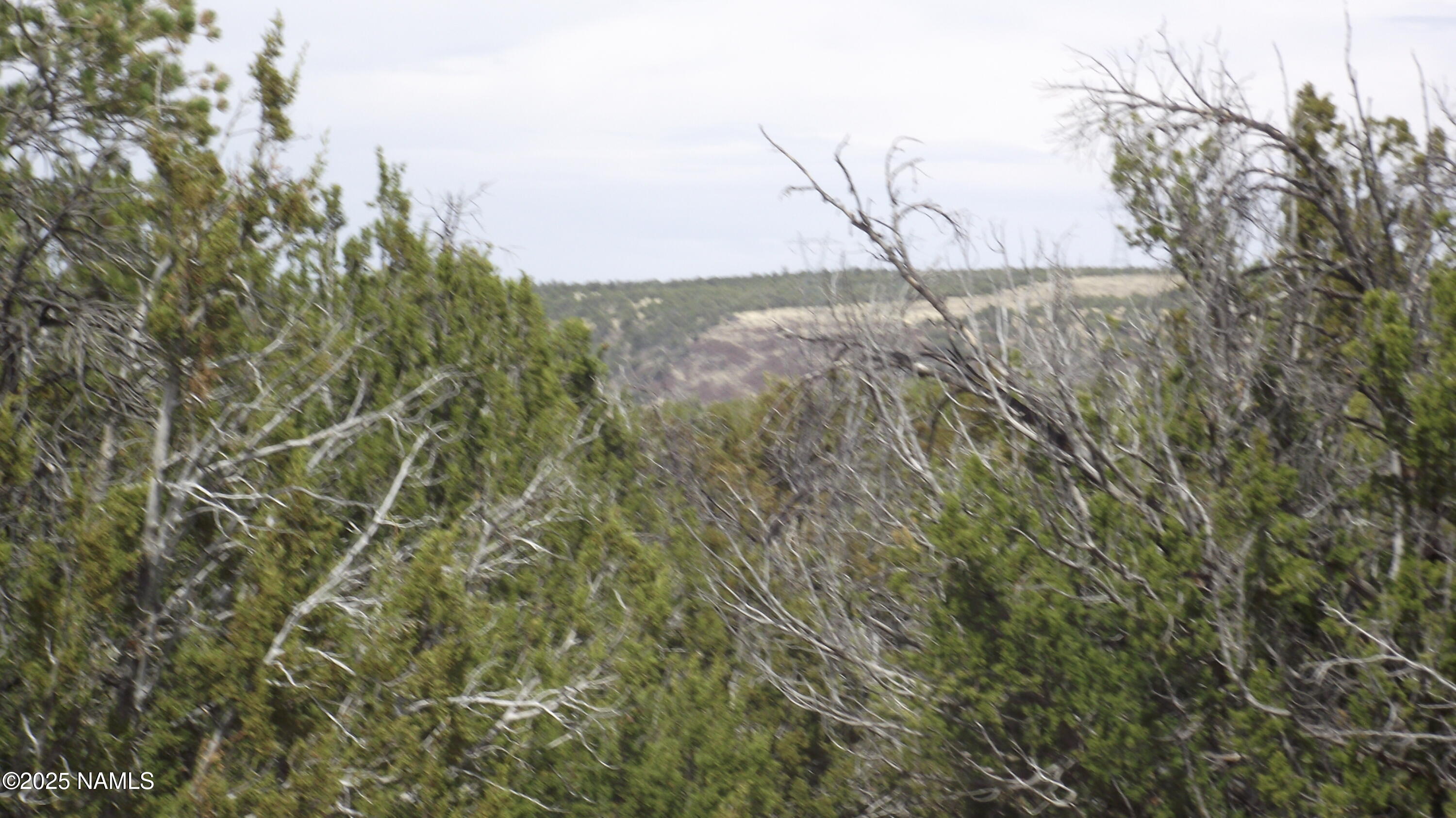 591 East Running Bear Road Williams, AZ 86046 - Photo 5 of 10 DSCF7426